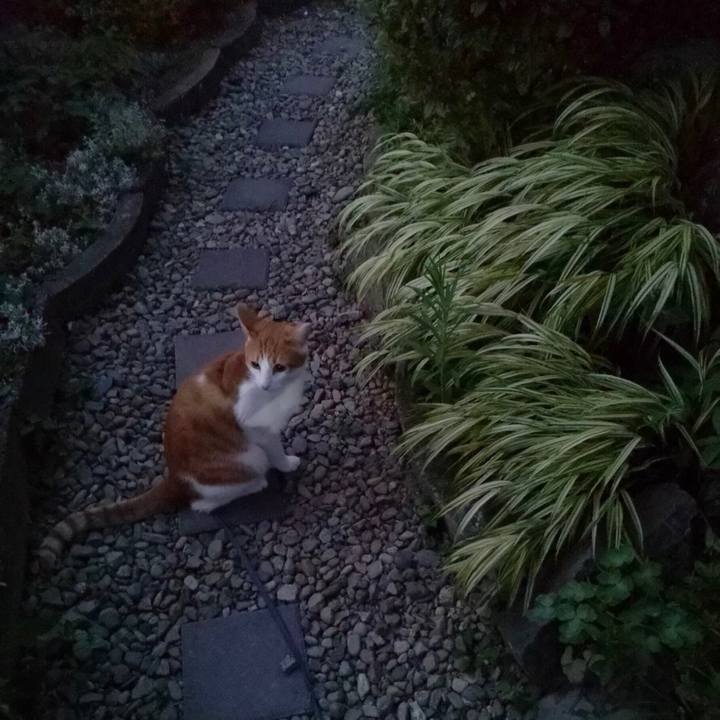 88f27b75 f594 4506 b276 e71be7ae7f1a 1532262262817