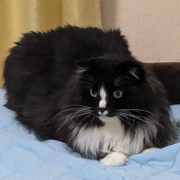 88f28652 f0d6 43bf ac5e dfaf5446a037 1720966941508