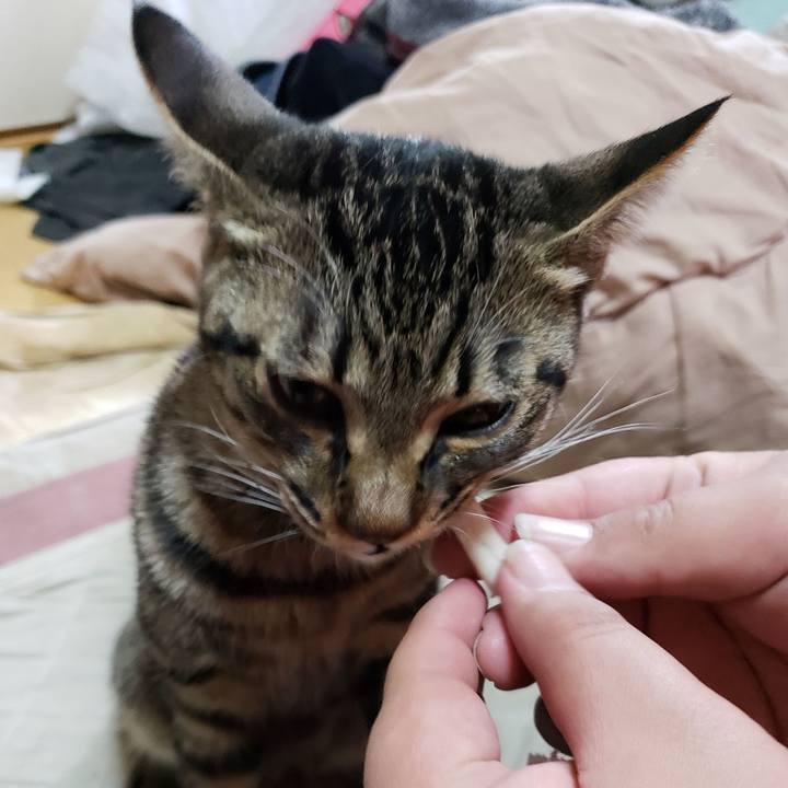 88f29d86 2bba 4e42 b53c 4f0d927e38c1 1542858547516