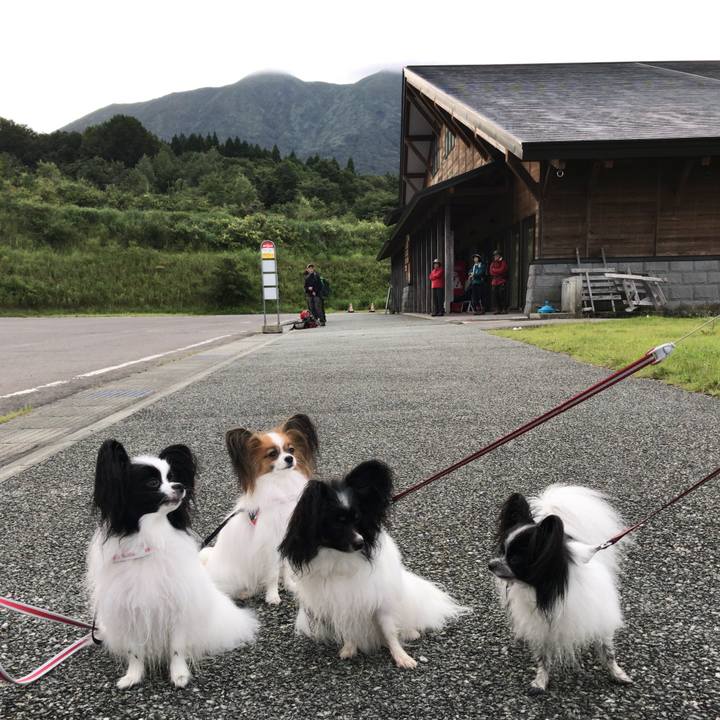 88f2b5d1 a530 4cc1 9280 a6acb8748c1a 1534631406815