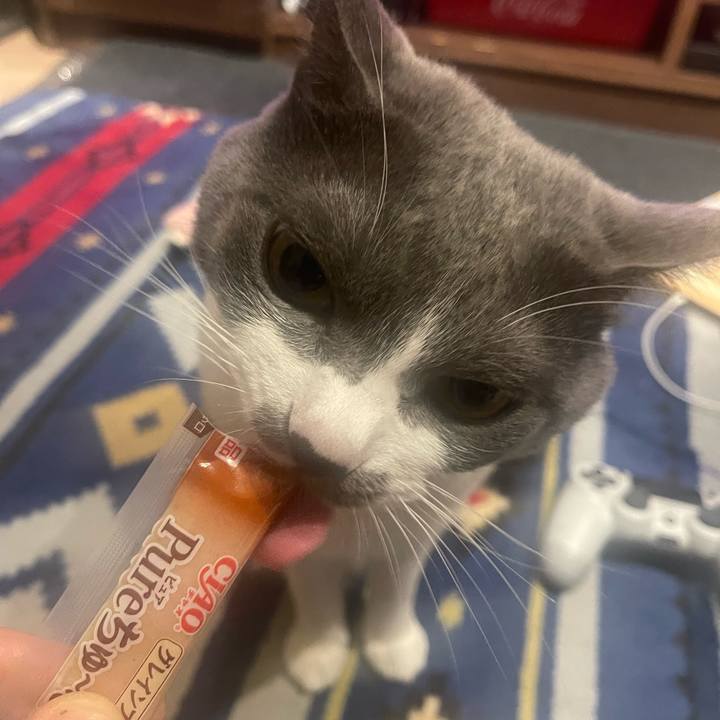 88f2b740 f7b1 47b4 aee0 82fdb00f6eb0 1667812511509