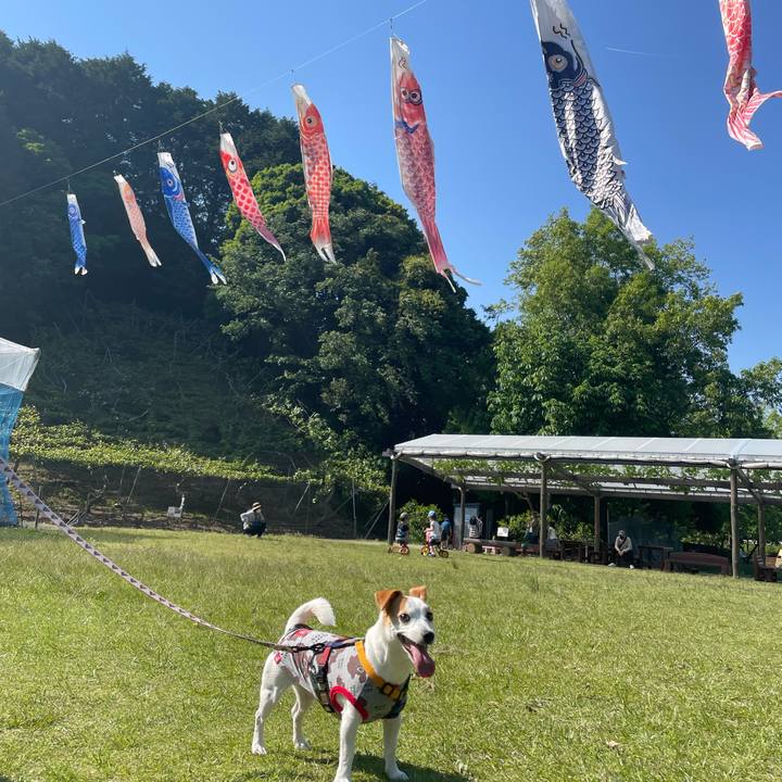 88f2c46f 3c37 4178 859a bfd4410ea6dc 1651709293709