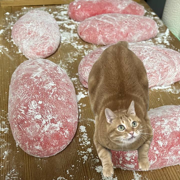 88f2cb77 aaf4 4599 b758 1cc02d44dce2 1703938777529