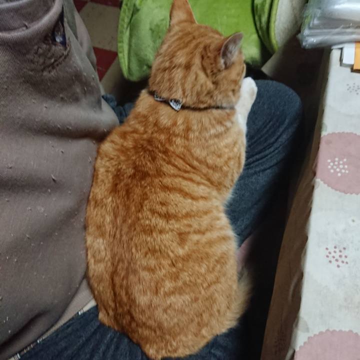 88f2d98e 6723 4304 afbb 61c1345a04c3 1587067110096