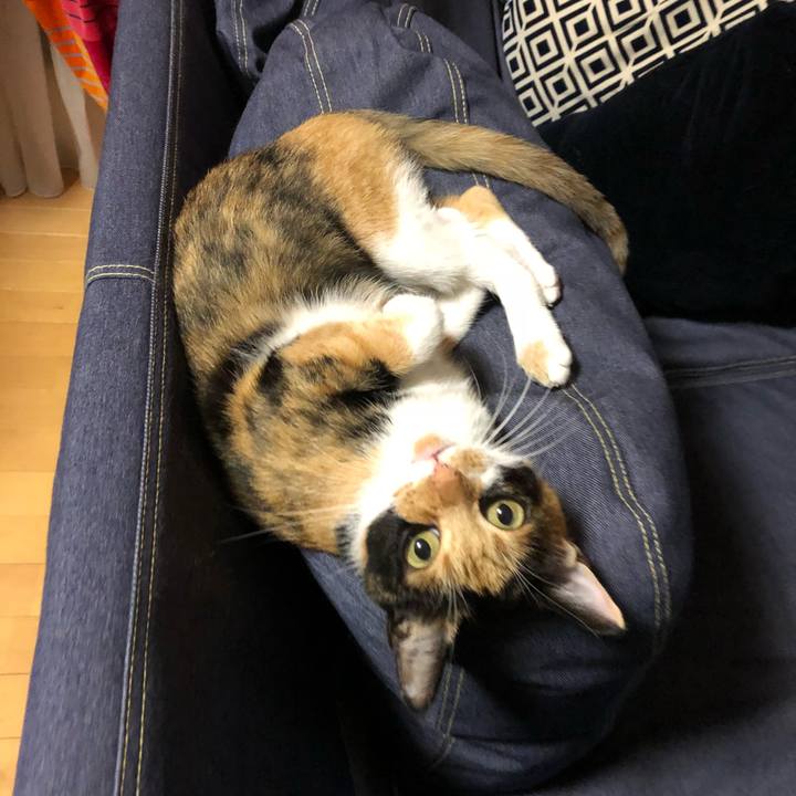 88f2e131 2650 4794 88c8 da859790c3fd 1533039546466