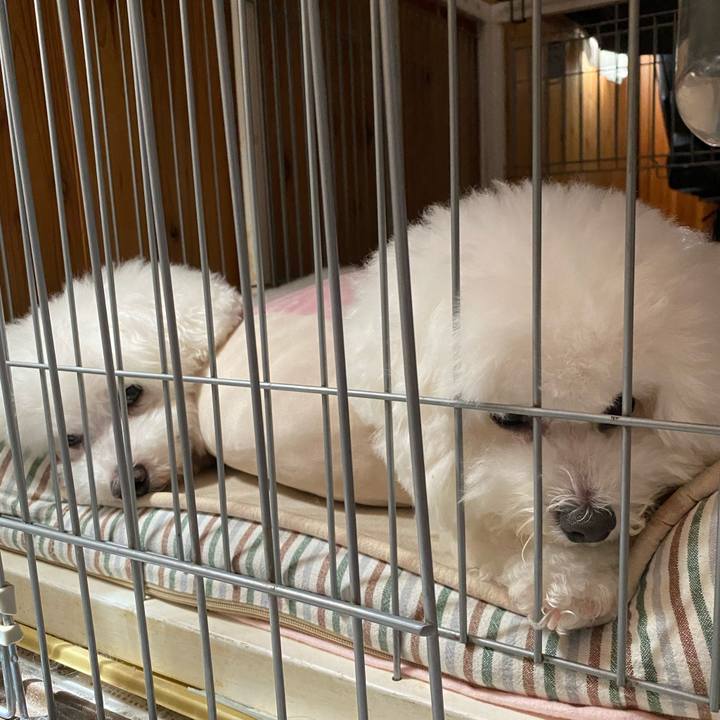 88f31327 f4ea 4533 96c5 a98070b1a37c 1626658209520