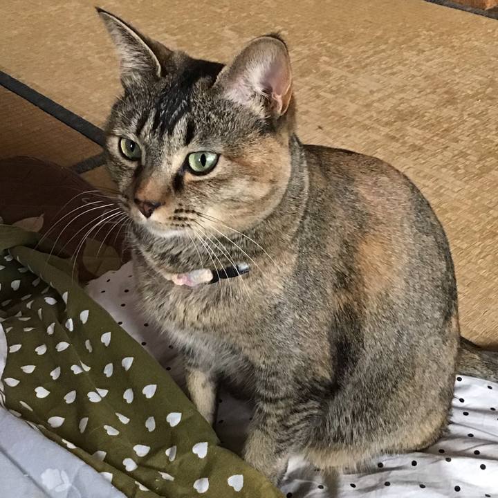 88f33451 6e2f 46f7 8ff3 28f907673443 1616197066677