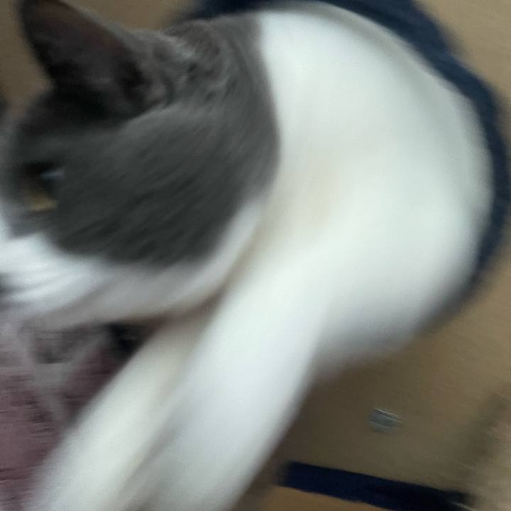 88f3a09a 7738 4741 b494 eaaecee68eb9 1731223578568