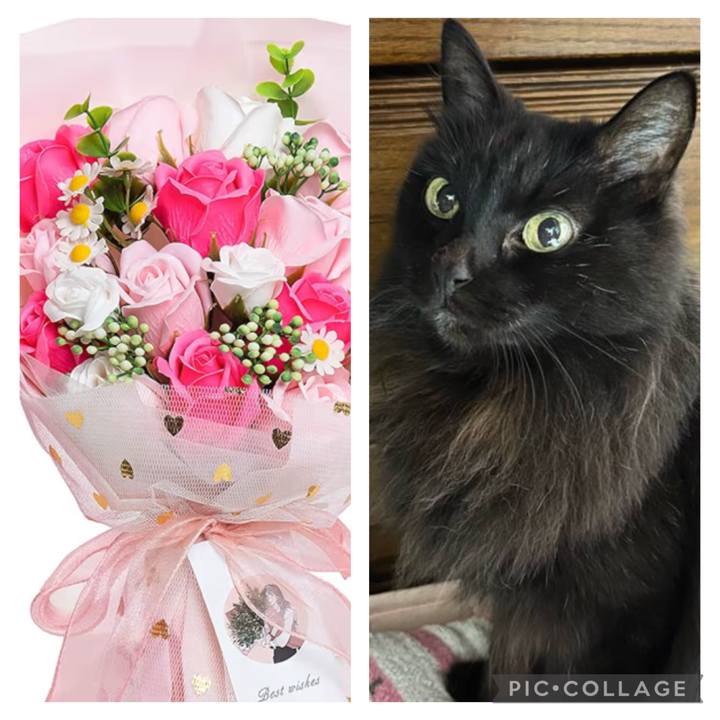 88f3afbb a7ed 49dc 9750 ff0b93fadd54 1764455623247