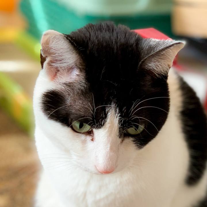 88f3bb51 a4fe 4307 8944 db5216c60e73 1587775134530