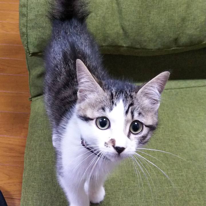 88f3c32b c3a5 4d3e 895e 332243caf89c 1607784651872