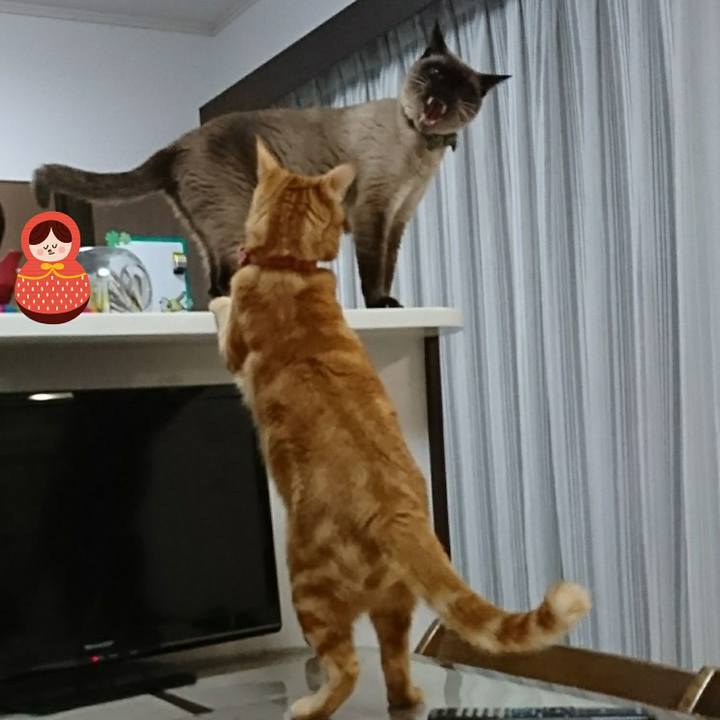 88f3c567 2092 46af bf92 3a8a428c4599 1520681708467