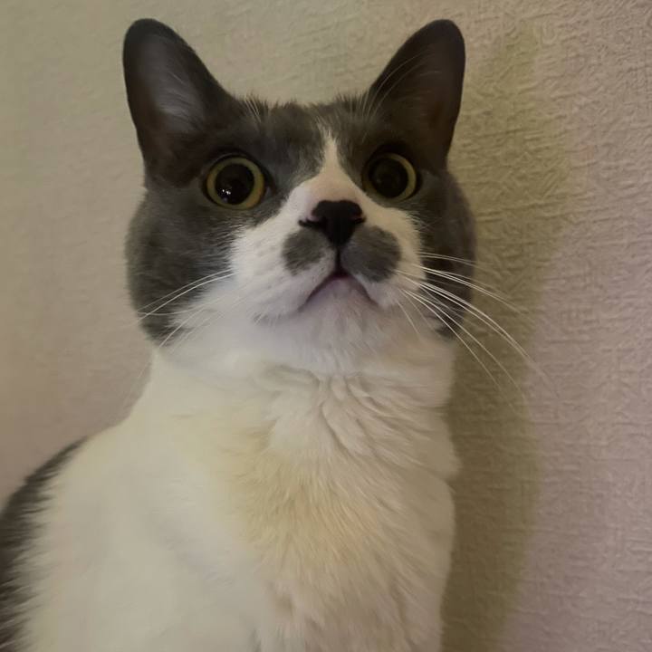 88f3cbee ac79 4bf2 b8f9 f639de29cbe8 1645283927701