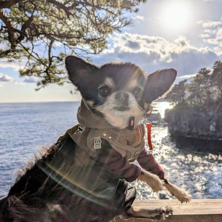 88f3e728 5e63 4987 8ca4 46108e949a36 1769863128596