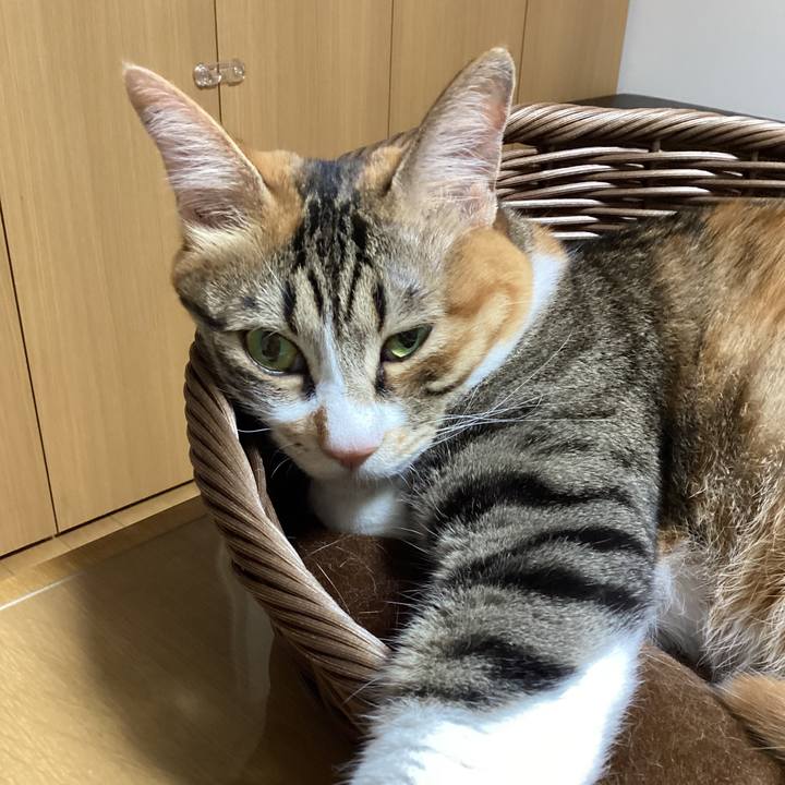 88f401ee 777f 4cf9 b5dc 61864d669fc1 1721987457793