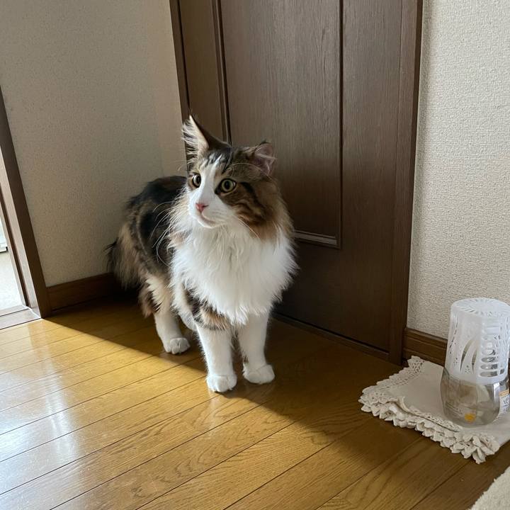 88f4034e 597c 480e 9a1d 885d2c06359f 1647690549223