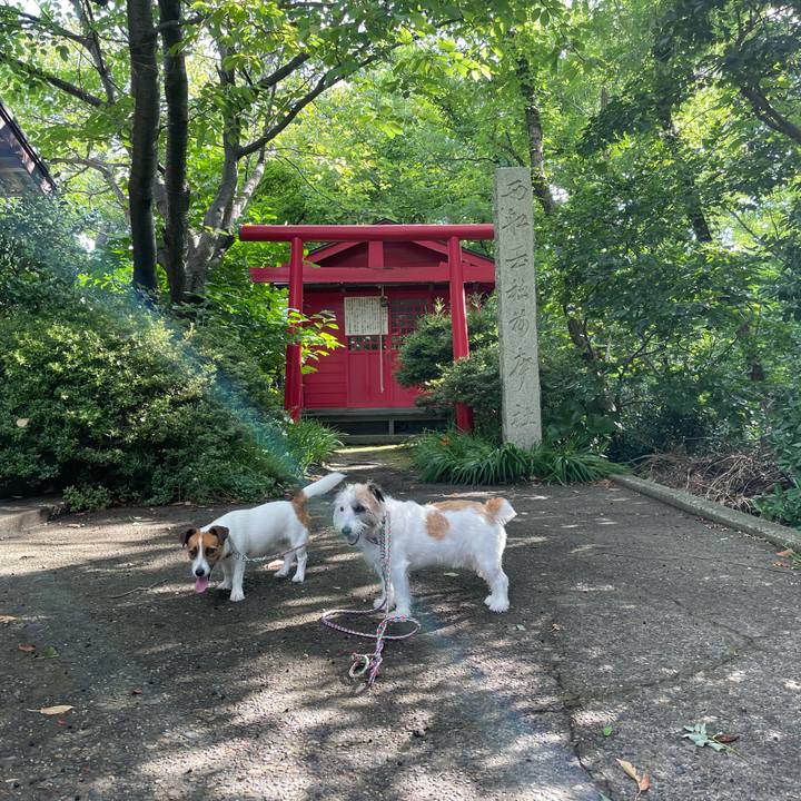 88f47604 7064 462f 8fe6 8d5b7fe452b7 1658100968428