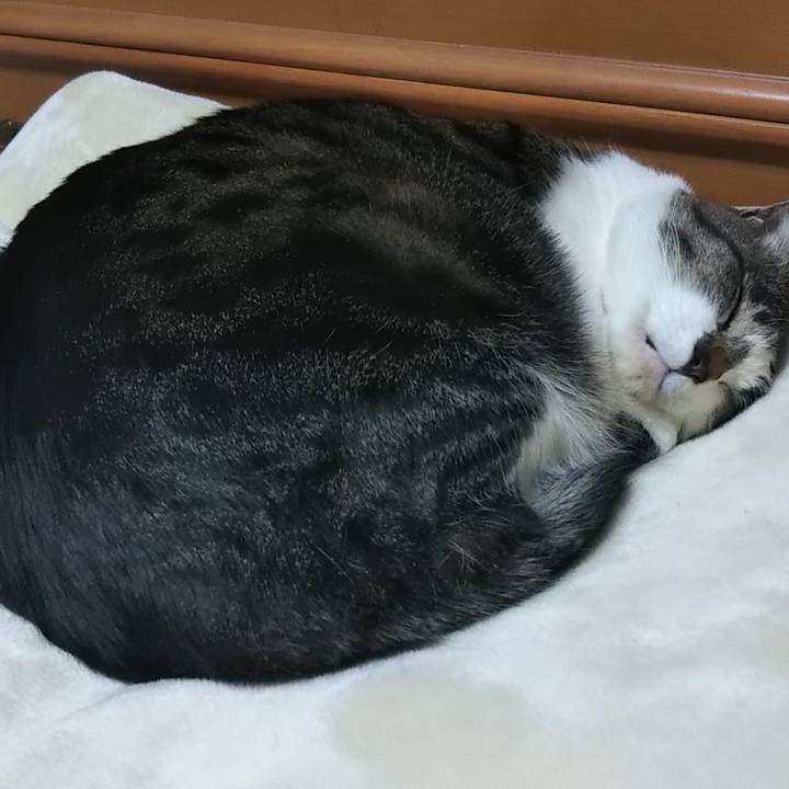 88f47d9d 5207 44d8 b7db aa6a48118e3c 1605282177329