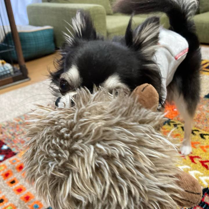 88f4889a ffb0 4b22 8c65 14bdffb3b7e9 1679755676006