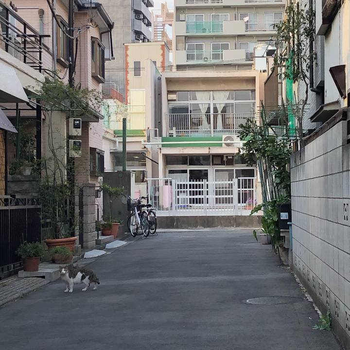 88f4a8d6 d909 481f 886f ccc9add88e4c 1552685588476