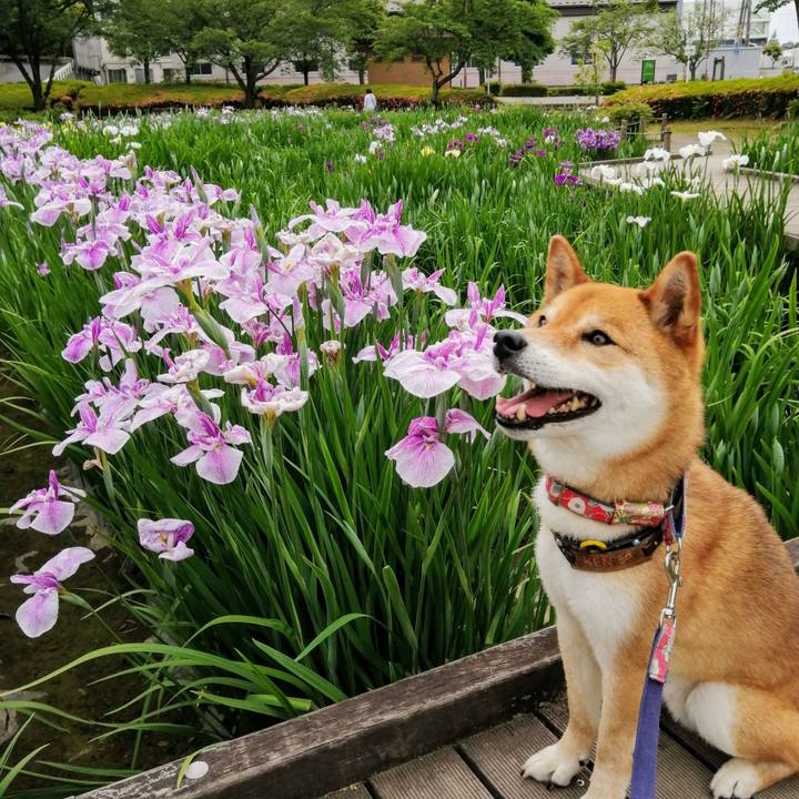 88f4aed1 5a7d 46a1 a882 ff30a615221c 1590901800537