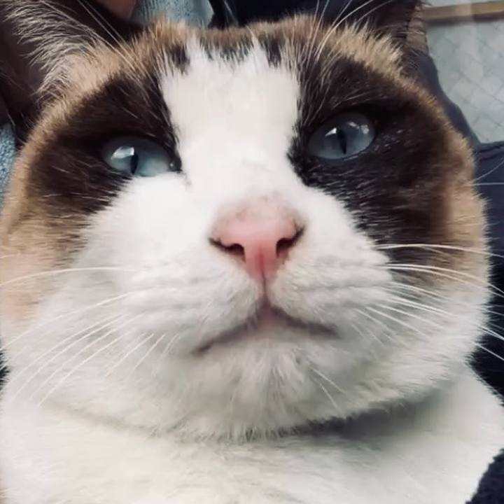 88f4c86f a7d4 489a ae68 c1678a9a643e 1734314966596