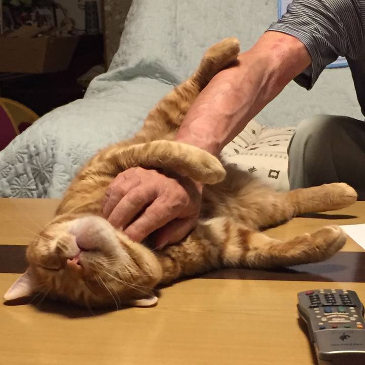 88f4ddd4 a809 4e7e 8c80 45d7780f80d0 1565190368910