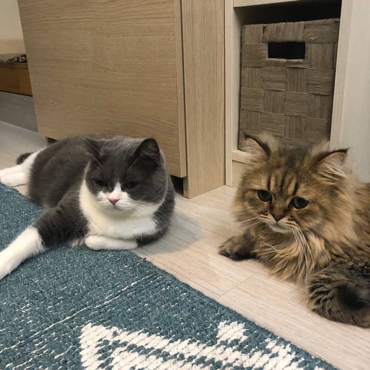 88f500b3 2157 4c33 82a6 8916ed372a12 1567986527012