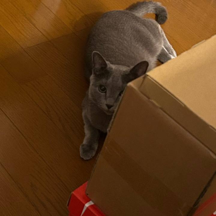 88f51922 c8c0 4071 89db 29c73231999b 1758357797588