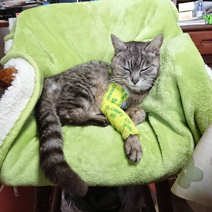 88f520e9 a4fa 4b74 87b7 3bf93bc50ff5 1586417326949