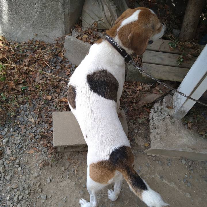 88f53fa7 655d 4811 a32d 5988c1b8ee02 1660621969601