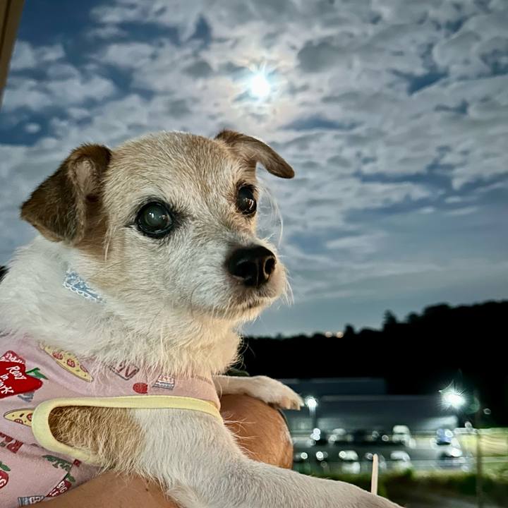 88f542d0 0c0f 4e70 bba6 c0bff32d9b66 1729159204159