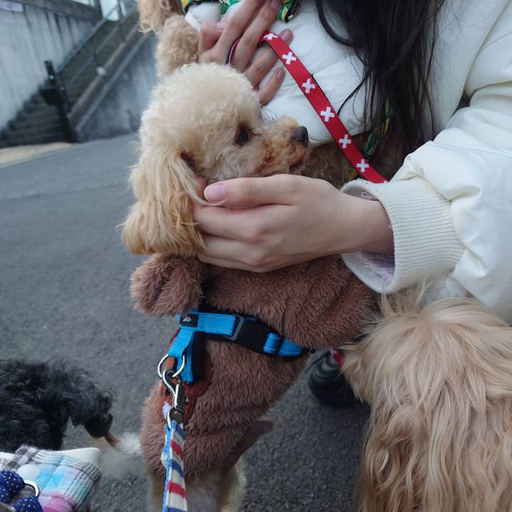 88f5463a 6740 40e3 b303 8fc2c3c9d572 1771662571986