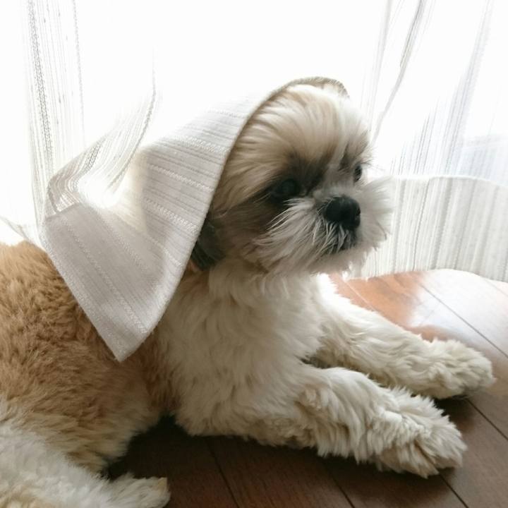 88f58a71 02b8 462e 8106 8bf84ffcc61e 1522969706586