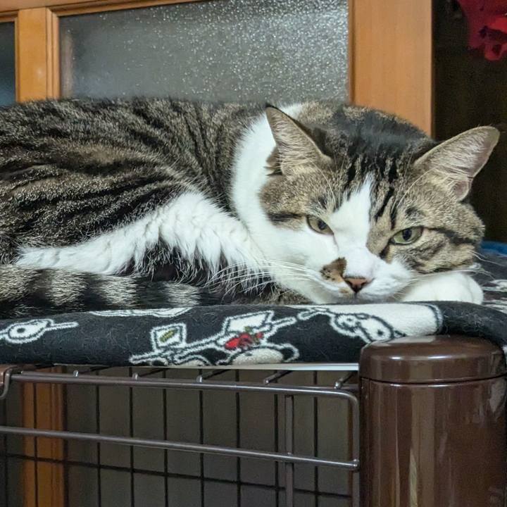 88f58e23 c47a 4b92 94a8 cf943ee8c1ad 1730026067457