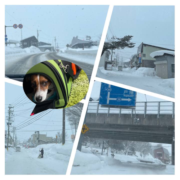 88f58e61 0ce5 48f7 9664 5243a8015f28 1642491382145