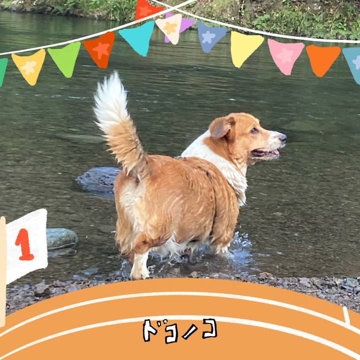 88f594ae 04ab 4679 ba61 c744e54694cf 1761347019611