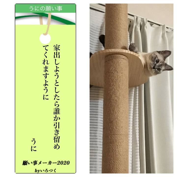 88f5a069 4491 4ffe 988f 3deaafb4ea32 1594118038800