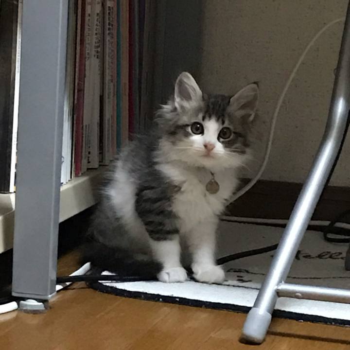 88f5b574 a204 4734 9f16 93027054917e 1573523117398