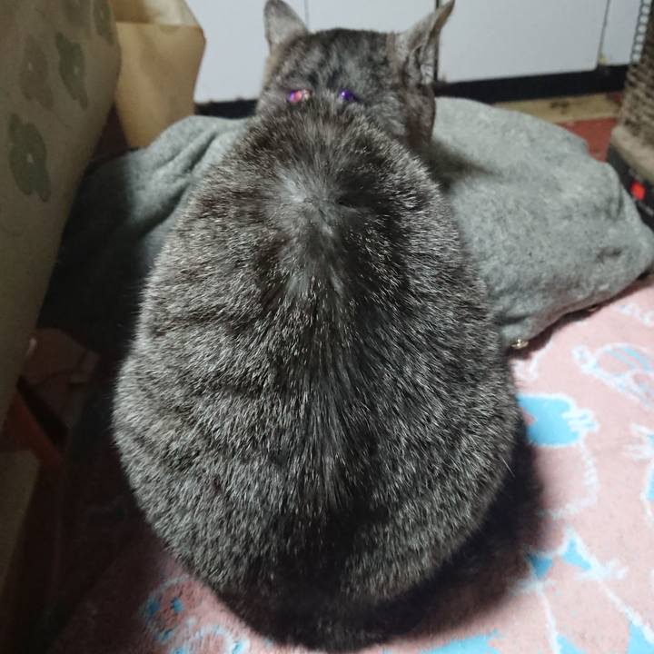 88f5beb3 12e8 40f4 b126 fafe0f7e717b 1590751122211