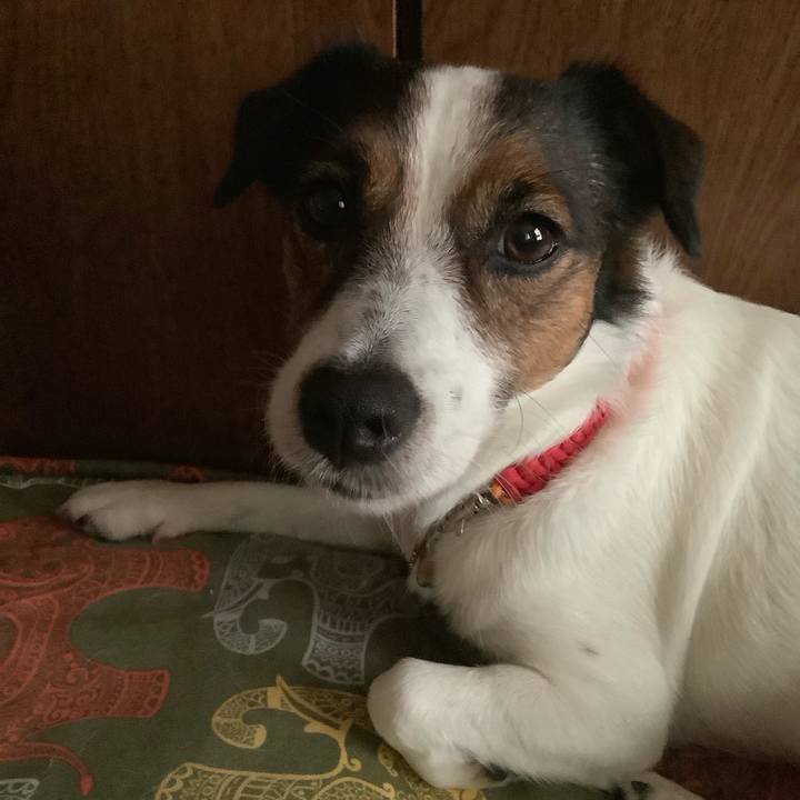 88f5c753 9593 4cda 9791 07a83987044b 1565677538070