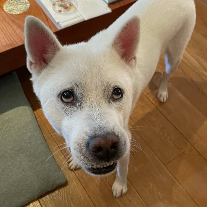 88f5c876 2c0a 4e3f b694 ee28006cbbe7 1634641744369