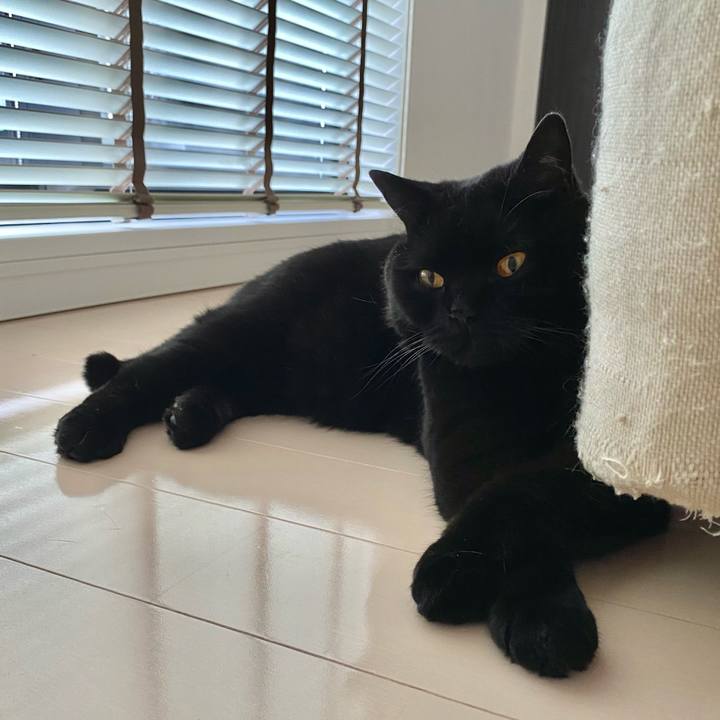 88f5db60 2da2 4b40 96a8 791ad6a671ea 1624147686493