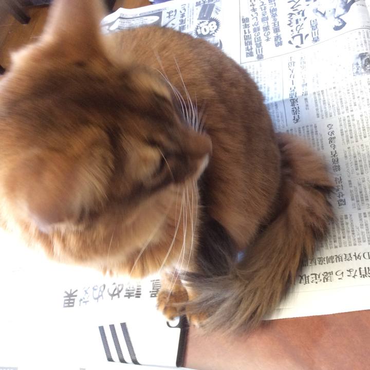 88f64744 e48b 47bb b8c2 42244e9e7588 1618186763713