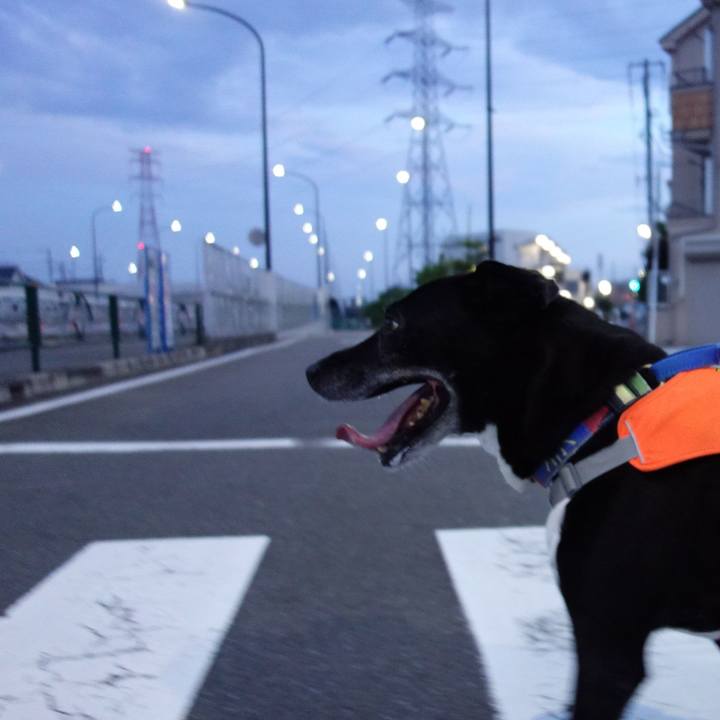 88f664ad 6994 4b6b bd98 947d227039e5 1721214355334