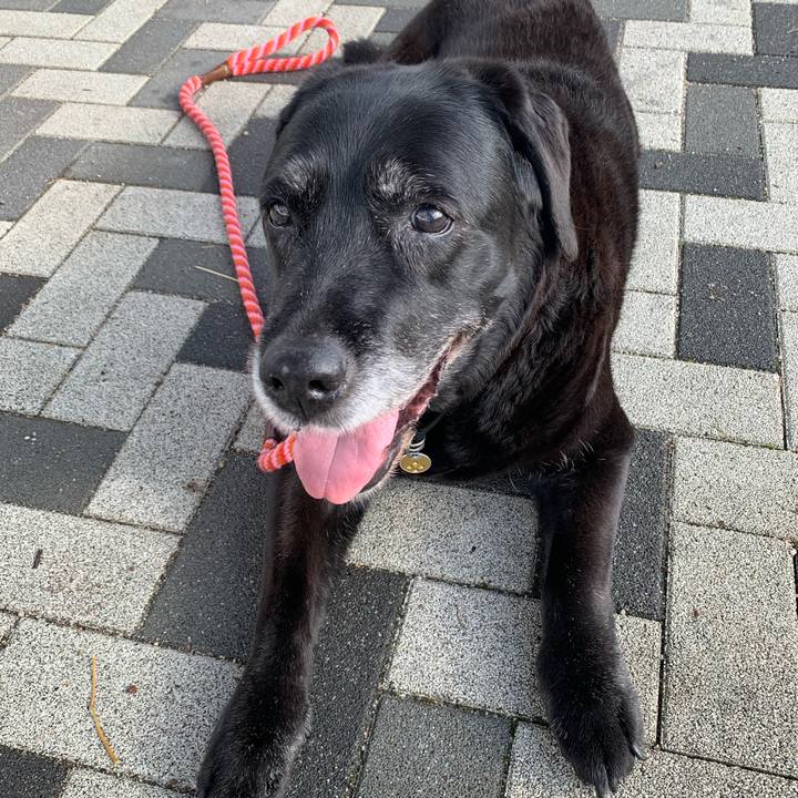 88f66ff9 c01e 4a08 b407 33af169e8c09 1623539482883