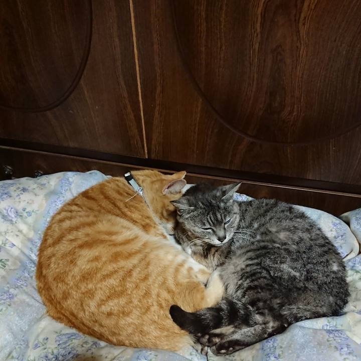 88f67979 a841 4685 bb4a c1dd35a215ad 1588248650211