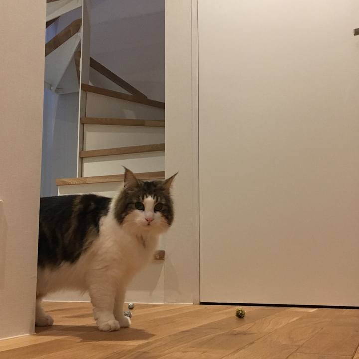 88f6af02 6728 435a 909f a039ed3fd446 1519475591226