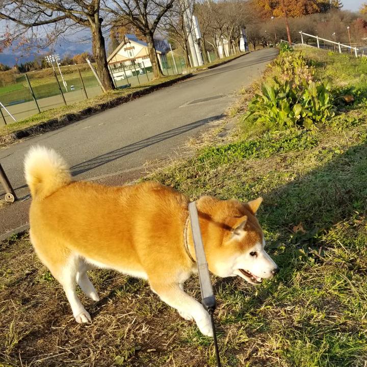 88f6af14 bad2 4110 a996 c2ec052373dc 1636957565932