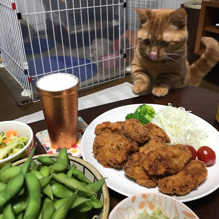 88f6b2f4 d518 4bdf 8d42 de49f7518645 1526381819183